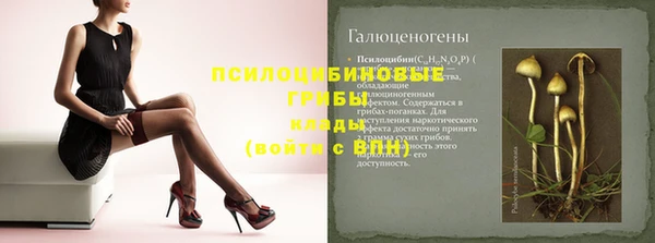 спайс Апатиты