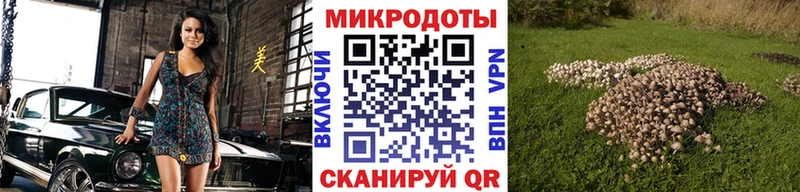 Псилоцибиновые грибы Cubensis  Чишмы 